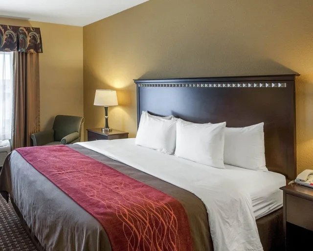 غرفة قياسية بسرير كينج، Comfort Inn and Suites Regional Medical Center 1/5