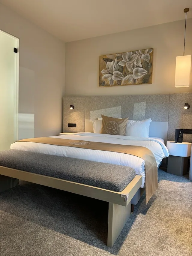 غرفة ديلوكس بسرير كينج، OPO Hotel 9/10