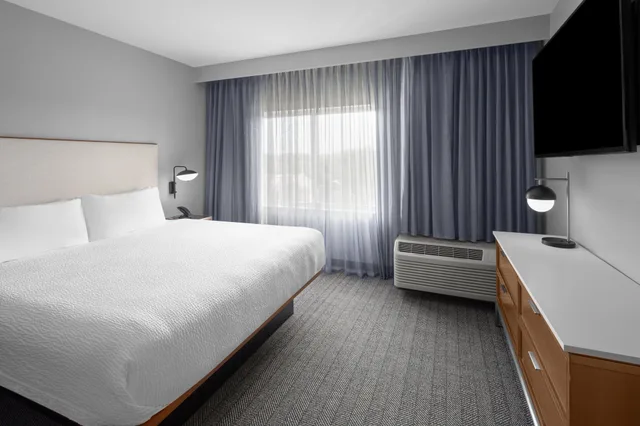 جناح بسرير كينج مع أريكة، Courtyard By Marriott Tampa Oldsmar 2/4