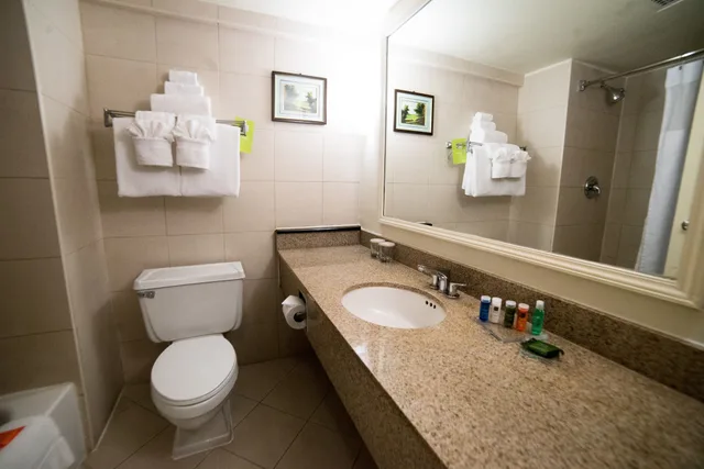 غرفة ديلوكس بسرير كينج، Radisson Hotel Trinidad 8/10