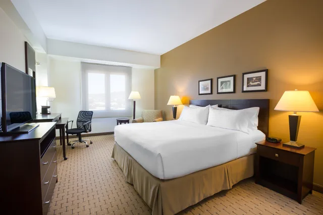 غرفة قياسية بسرير كينج، Holiday Inn San Salvador An Ihg Hotel 1/10