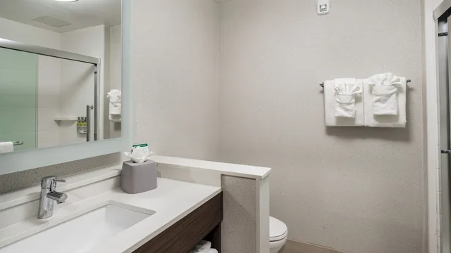 جناح بسرير كينج مع أريكة، Holiday Inn Express Suites Racine 9/10