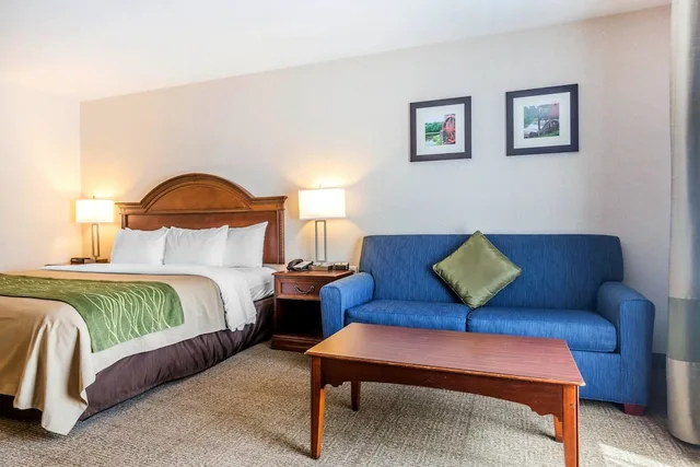 جناح بسرير كينج مع أريكة، Comfort Inn & Suites South Burlington near University 2/3