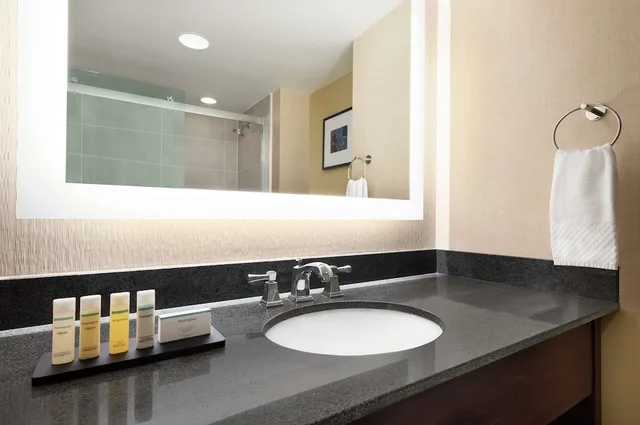 جناح بسرير كينج مع أريكة لذوي الإعاقة، Embassy Suites by Hilton Cleveland Rockside 3/6