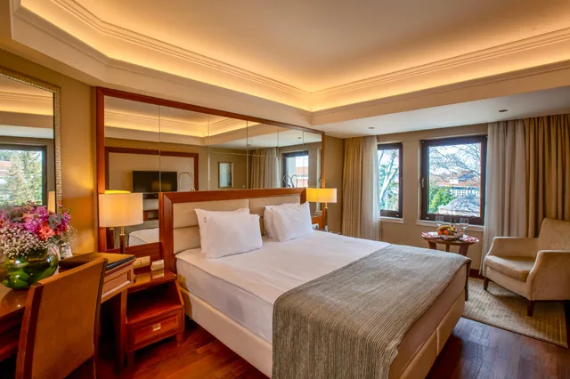 غرفة اقتصادية، Marigold Thermal And Spa Hotel Bursa 2/2