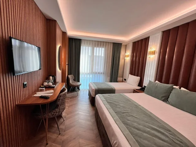 غرفة قياسية بسرير مزدوج أو سريرين منفصلين، Gümüs Palas Hotel 8/10