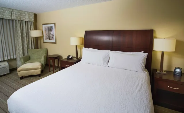 Evolution, King Bed، Hilton Garden Inn Valdosta 1/3