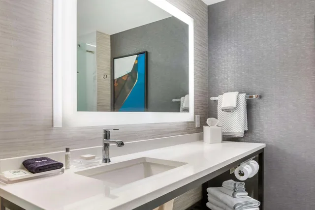 Room, King Bed, Cambria Hotel Niagara Falls 3/3