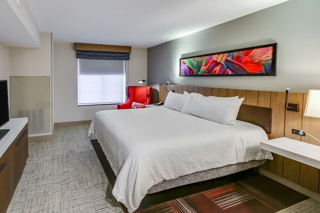 Evolution, King Bed, Hilton Garden Inn Ames 1/10