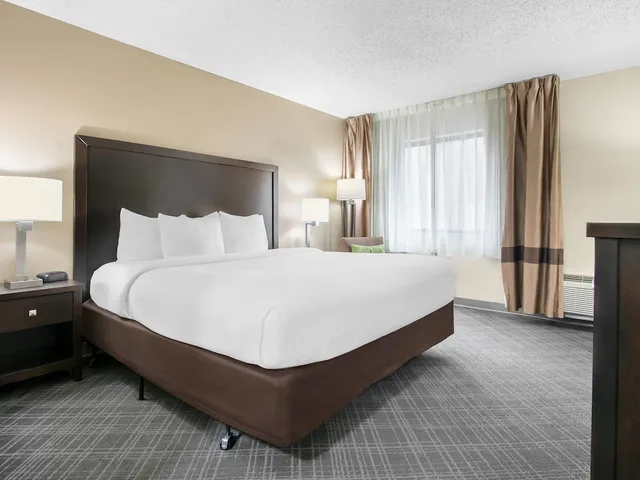 غرفة قياسية بسرير كينج بحوض جاكوزي، Comfort Inn Downtown Detroit MI 1/9