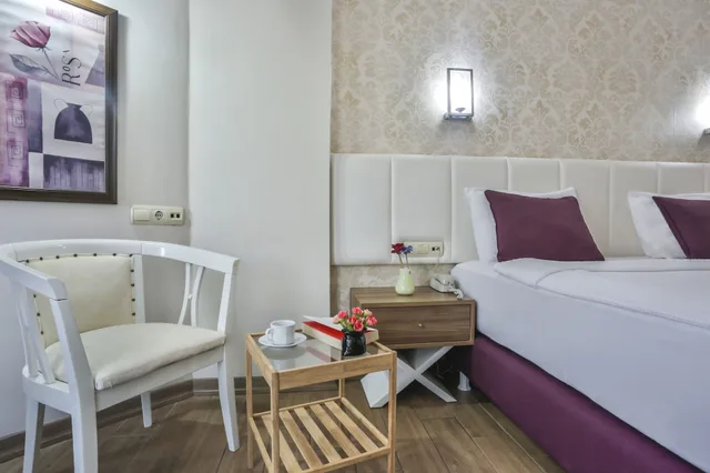 غرفة قياسية بسريرين منفصلين، Alanya Buyuk Hotel 4/10