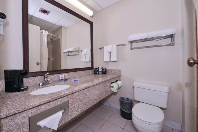 غرفة قياسية بسرير كينج لذوي الإعاقة، Wyndham Tucson Airport & Conference Center 4/4
