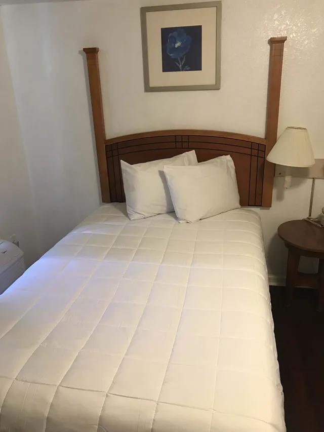 Room, Queen Bed, Stay Lodge 1/8