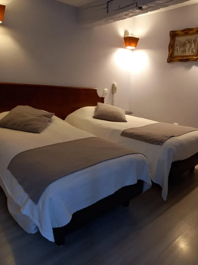 غرفة قياسية بسريرين منفصلين، Brit Hotel Les Comtes de Champagne Centre Historique 1/1