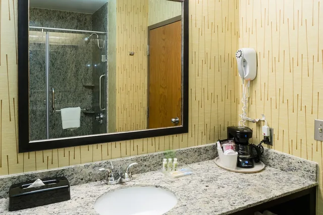 Standard, King Bed, Holiday Inn Express Big Rapids, an IHG Hotel 4/4