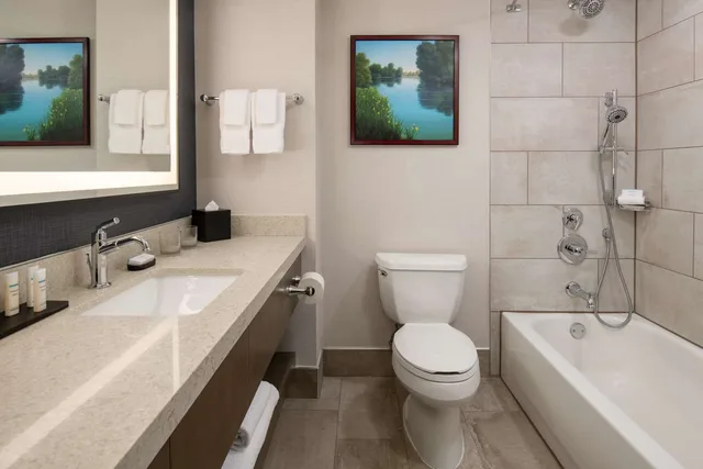 غرفة بسرير كينج لذوي الإعاقة، Embassy Suites by Hilton Sacramento Riverfront Promenade 3/4