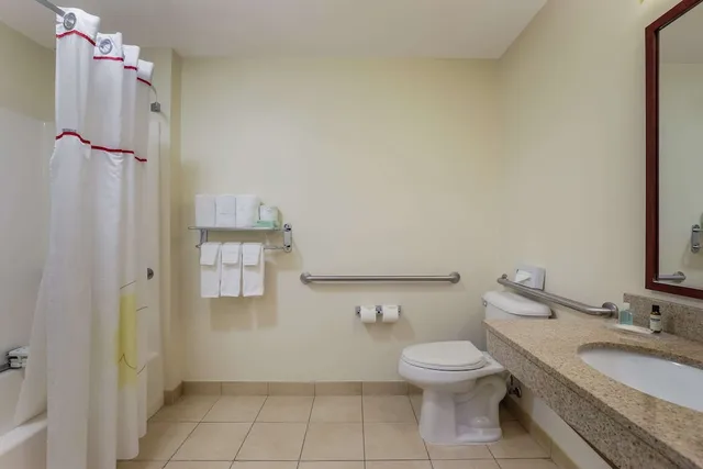 Efficiency, King Bed, Accessible, MainStay Suites Fitchburg Madison 7/10