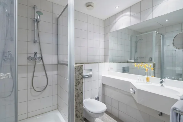 غرفة قياسية بسرير مزدوج، Best Western Plus Hotel Excelsior 9/9