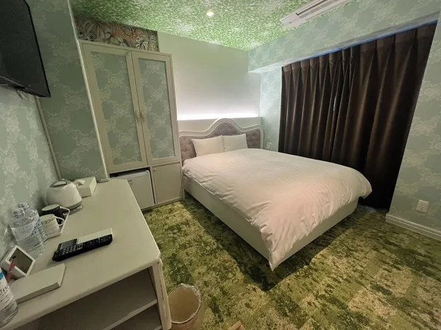 غرفة قياسية بسرير مزدوج، Hotaku HOTEL Akihabara 3/4