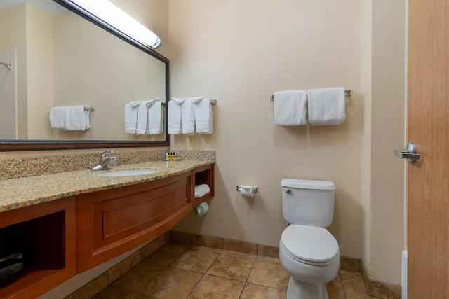 غرفة قياسية بسرير كينج، Best Western Plus Butterfield Inn 3/3