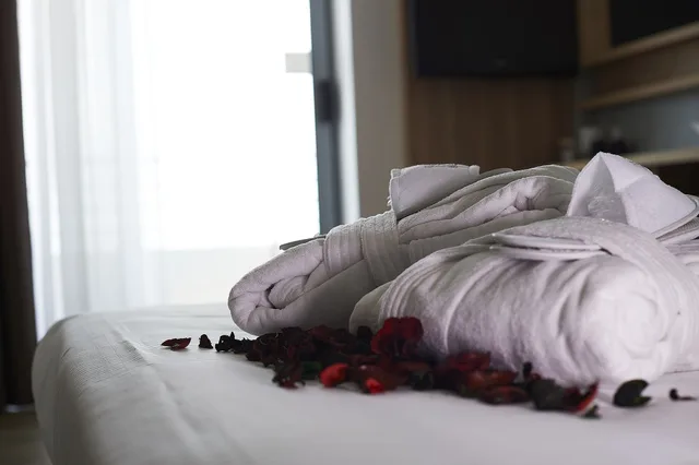 غرفة سوبيريور بسرير مزدوج، Alisei Palace Hotel 4/5