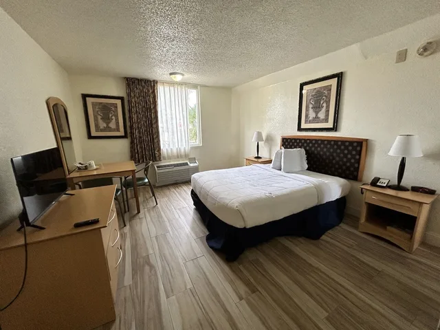 غرفة قياسية بسرير كينج، Orlando Movieland Hotel 3/4