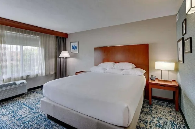 غرفة ديلوكس بسرير كينج لذوي الإعاقة، Wyndham Garden San Antonio Airport Northeast 3/10