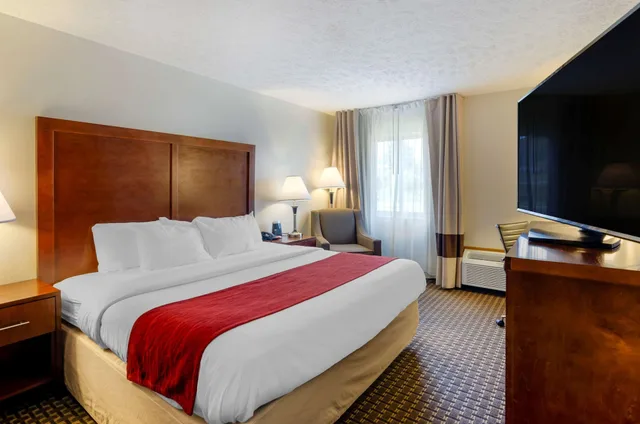 Room, King Bed, Accessible, Comfort Inn Atkins 2/3