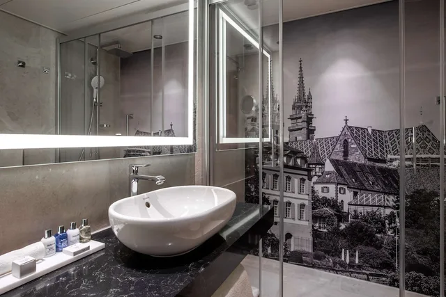 Superior, RADISSON BLU HOTEL BASEL 9/9