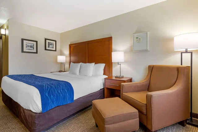 غرفة بسرير كينج، Comfort Inn South 1/5