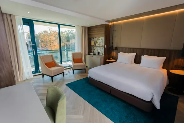 غرفة بسرير كينج، Doubletree By Hilton Royal Parc Soestduinen 2/9
