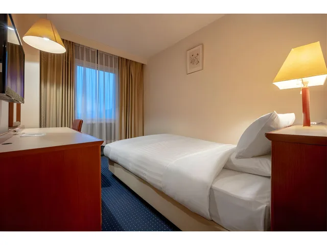 Semi Room, Standard, Semi Double Bed، Hotel Matsunoka Ichinoseki 1/1