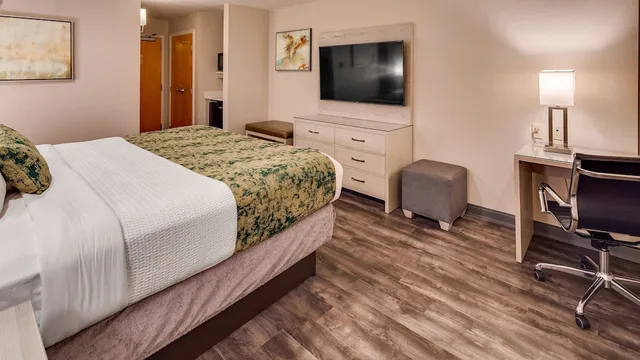 غرفة قياسية بسرير كينج، Best Western Premier I-95 Savannah Airport/ Pooler West 2/4