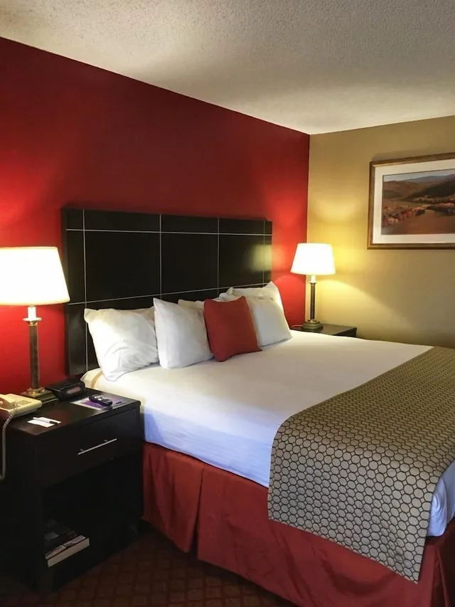 غرفة ديلوكس مفردة بسرير كينج، Hemp Hotel 3/5