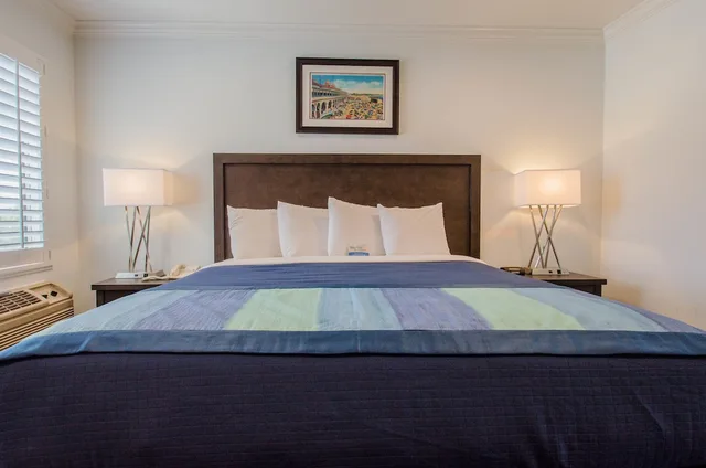 Room, King Bed, Annex, Continental Inn 3/5