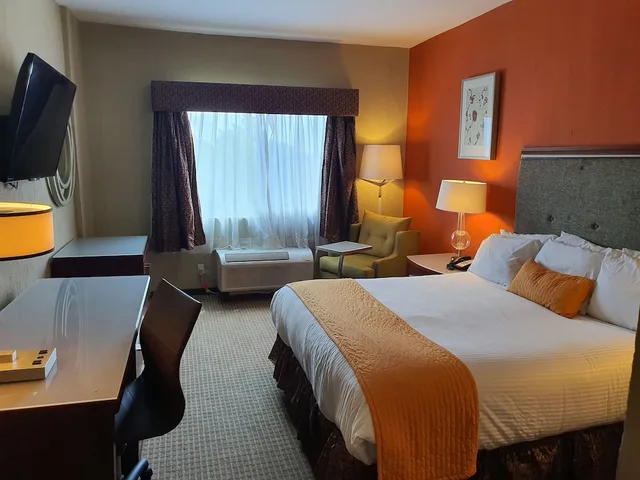 غرفة قياسية بسرير كينج، HOTEL SAN FRANCISCO LEON 1/7