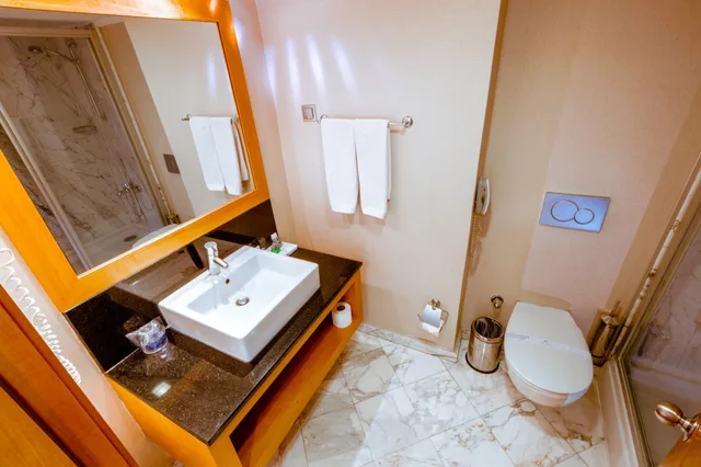 غرفة ديلوكس ركنية مفردة بسرير مزدوج، Ankara Plaza Hotel 8/10