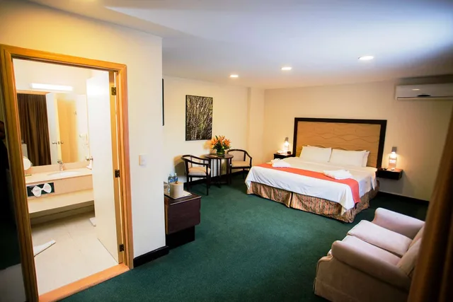 جناح بسرير كينج، Best Western Hotel Plus Terraza 1/3