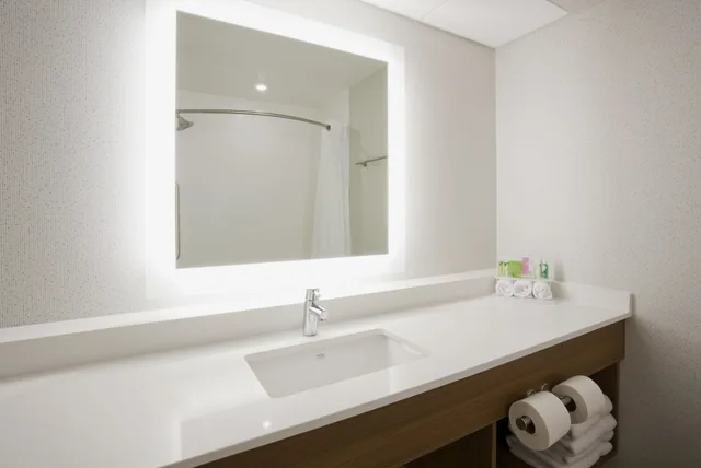 Specialty, Queen Bed، Holiday Inn Express Hotel Suites Minneapolis 2/2