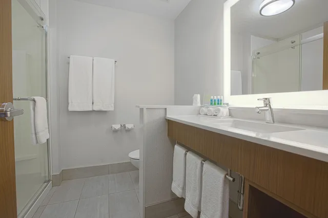 غرفة قياسية بسرير كينج، Holiday Inn Express Suites Boise Airport 4/4