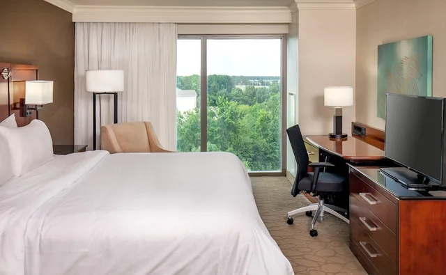 غرفة بسرير كينج لذوي الإعاقة، Delta Hotels by Marriott Chesapeake Norfolk 1/5