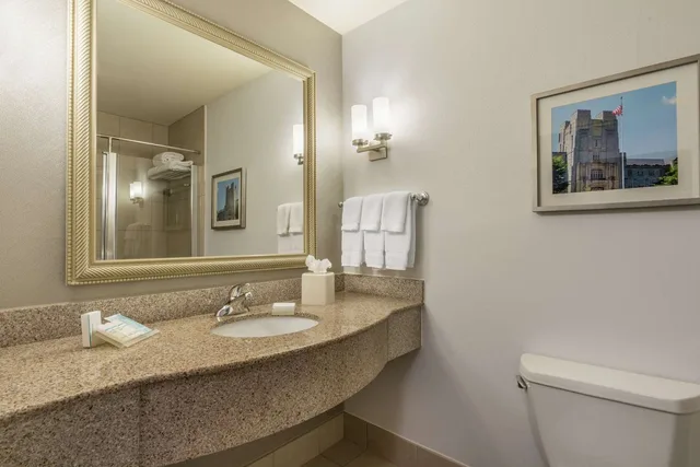 Evolution, King Bed، Hilton Garden Inn Blacksburg University 3/3