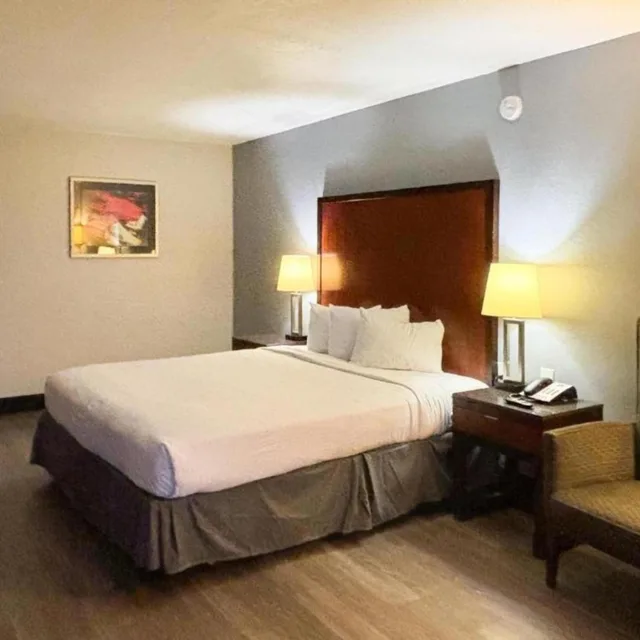 1 King Bed Non-Smoking, Micfridge، Motel6 Mesa, AZ - Downtown 1/6