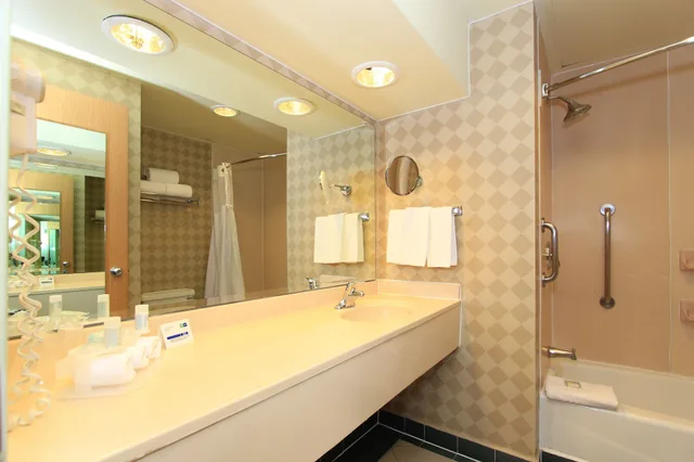 غرفة قياسية بسرير كينج، Holiday Inn Express Silao Aeropuerto Bajio 6/6