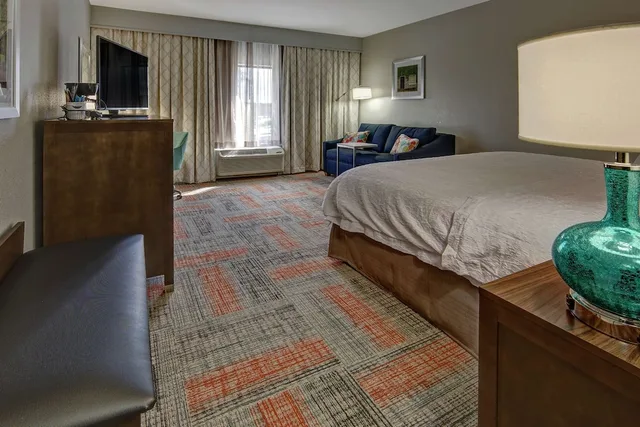 Room, King Bed, Sofa, Bathtub, Hampton Inn Summerville Sc 1/2