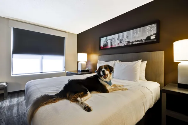 غرفة بسرير كينج بغرفة نوم واحدة، Hyatt House Atlanta Cobb Galleria 1/1