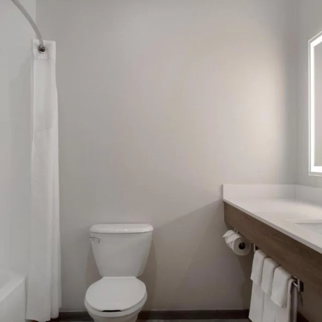 غرفة بسريرين منفصلين لذوي الإعاقة، Holiday Inn Express Montgomery - East I-85 3/5