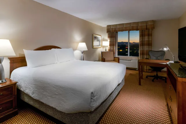 غرفة كومفورت بسرير كينج لذوي الإعاقة، Hilton Garden Inn Denver Airport 4/6