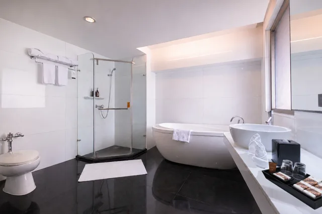 جناح بريميير بسرير كينج، Merlynn Park Hotel 3/4
