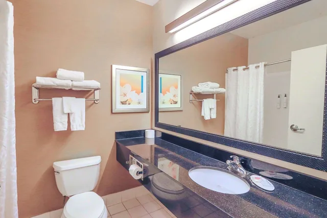 غرفة بسرير كينج لذوي الإعاقة، Comfort Inn & Suites Houston North - Spring 4/4